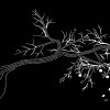 krieg, widerstand und frieden
im werk peter handkes 
<br />
eine ausstellung in stift griffen kuratiert von klaus amann und fabjan hafner